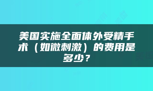 美国实施全面体外受精手术（如微刺激）的费用是多少？
