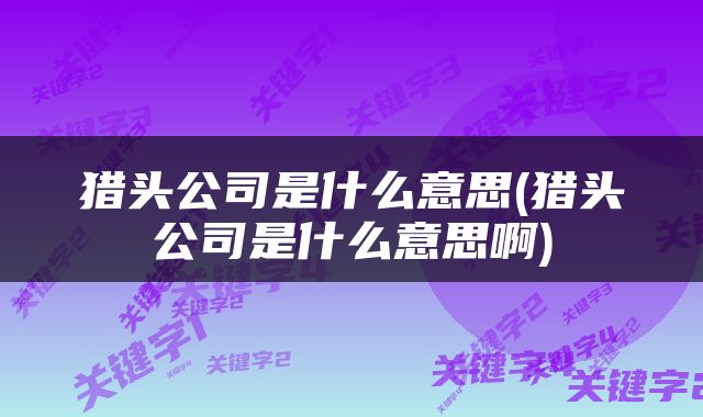 猎头公司是什么意思(猎头公司是什么意思啊)