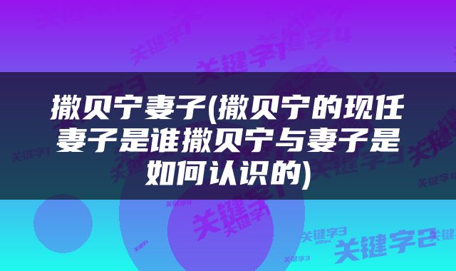 撒贝宁妻子(撒贝宁的现任妻子是谁撒贝宁与妻子是如何认识的)