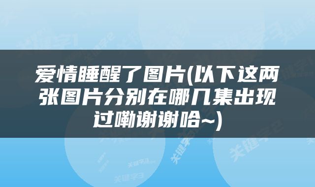 爱情睡醒了图片(以下这两张图片分别在哪几集出现过嘞谢谢哈~)