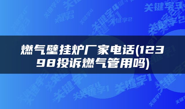 燃气壁挂炉厂家电话(12398投诉燃气管用吗)