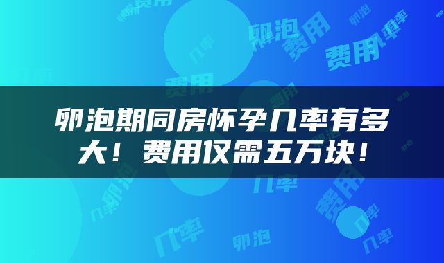 卵泡期同房怀孕几率有多大！费用仅需五万块！