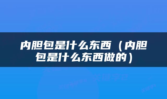 内胆包是什么东西（内胆包是什么东西做的）