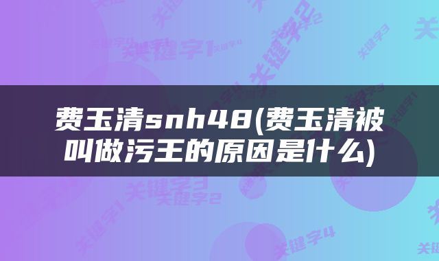 费玉清snh48(费玉清被叫做污王的原因是什么)