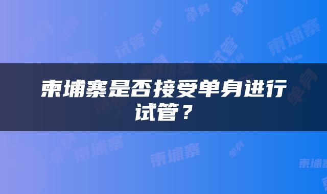 柬埔寨是否接受单身进行试管？