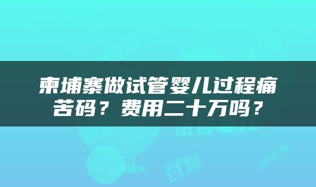 柬埔寨做试管婴儿过程痛苦码？费用二十万吗？