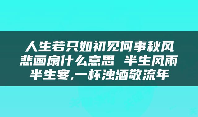 人生若只如初见何事秋风悲画扇什么意思 半生风雨半生寒,一杯浊酒敬流年