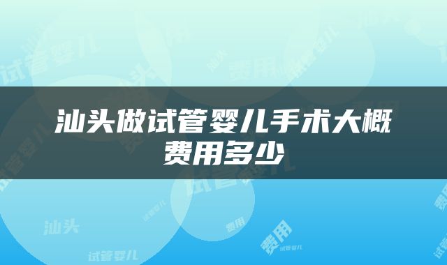 汕头做试管婴儿手术大概费用多少