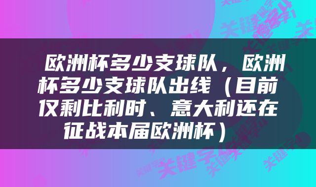  欧洲杯多少支球队，欧洲杯多少支球队出线（目前仅剩比利时、意大利还在征战本届欧洲杯） 