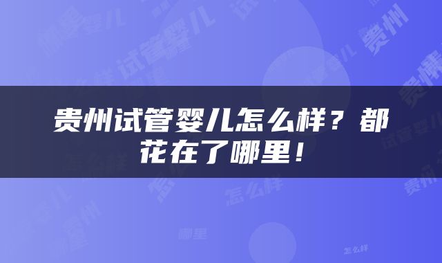 贵州试管婴儿怎么样？都花在了哪里！