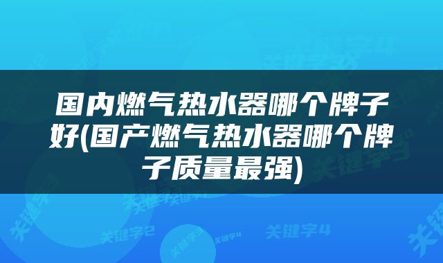 国内燃气热水器哪个牌子好(国产燃气热水器哪个牌子质量最强)