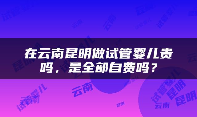 在云南昆明做试管婴儿贵吗，是全部自费吗？