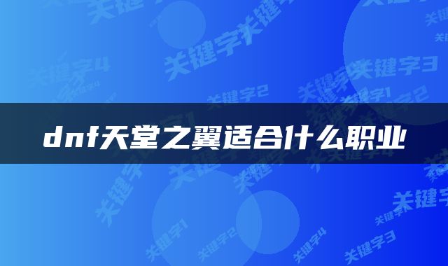 dnf天堂之翼适合什么职业