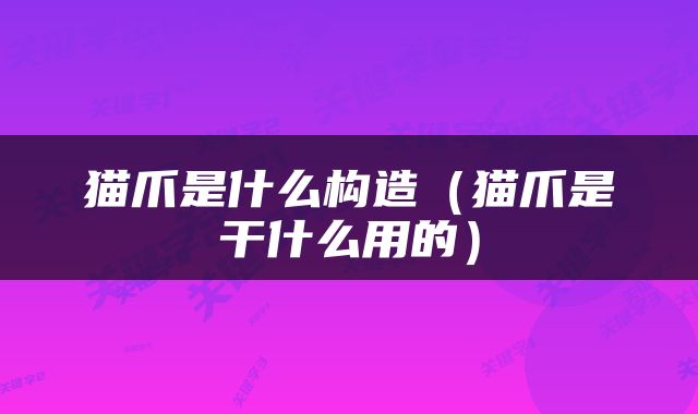 猫爪是什么构造（猫爪是干什么用的）