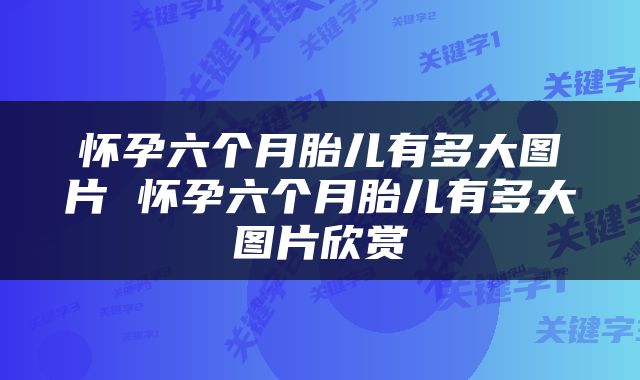 怀孕六个月胎儿有多大图片 怀孕六个月胎儿有多大图片欣赏