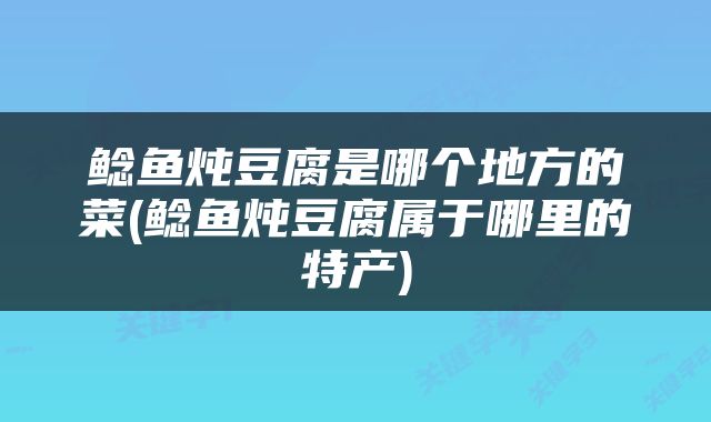 鲶鱼炖豆腐是哪个地方的菜(鲶鱼炖豆腐属于哪里的特产)