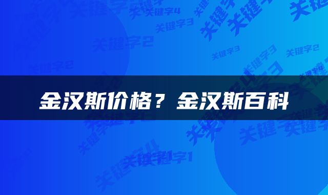 金汉斯价格？金汉斯百科