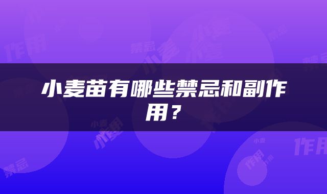 小麦苗有哪些禁忌和副作用？