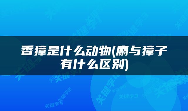 香獐是什么动物(麝与獐子有什么区别)