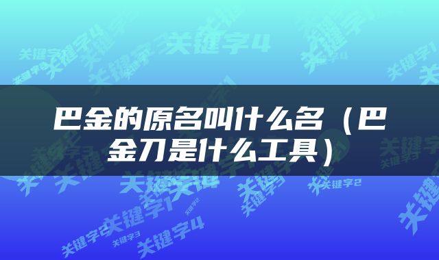 巴金的原名叫什么名（巴金刀是什么工具）