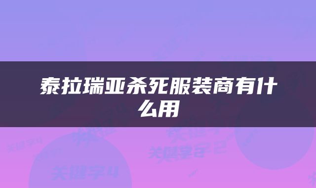 泰拉瑞亚杀死服装商有什么用