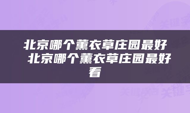 北京哪个薰衣草庄园最好 北京哪个薰衣草庄园最好看