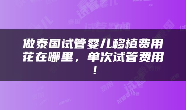 做泰国试管婴儿移植费用花在哪里，单次试管费用！