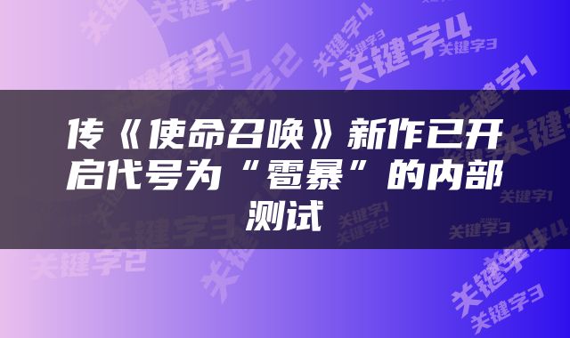 传《使命召唤》新作已开启代号为“雹暴”的内部测试