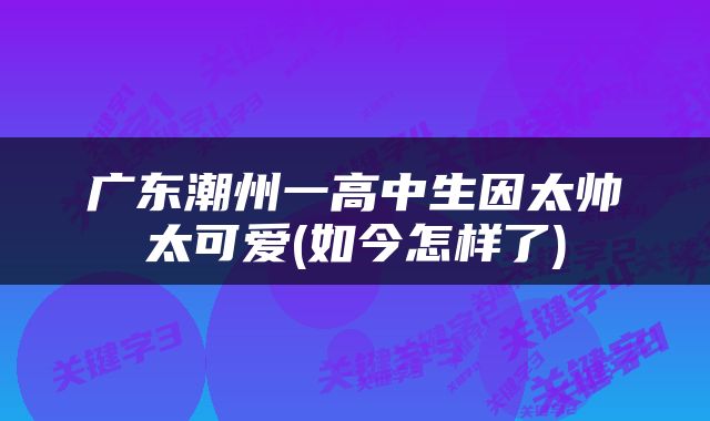 广东潮州一高中生因太帅太可爱(如今怎样了)