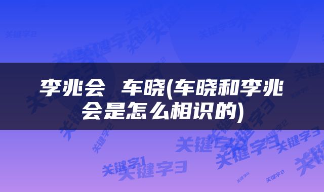 李兆会 车晓(车晓和李兆会是怎么相识的)