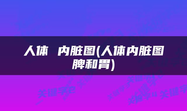 人体 内脏图(人体内脏图脾和胃)