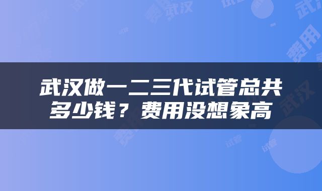 武汉做一二三代试管总共多少钱？费用没想象高