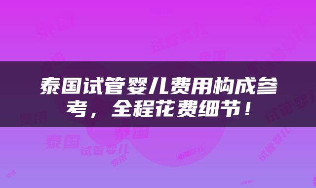 泰国试管婴儿费用构成参考，全程花费细节！