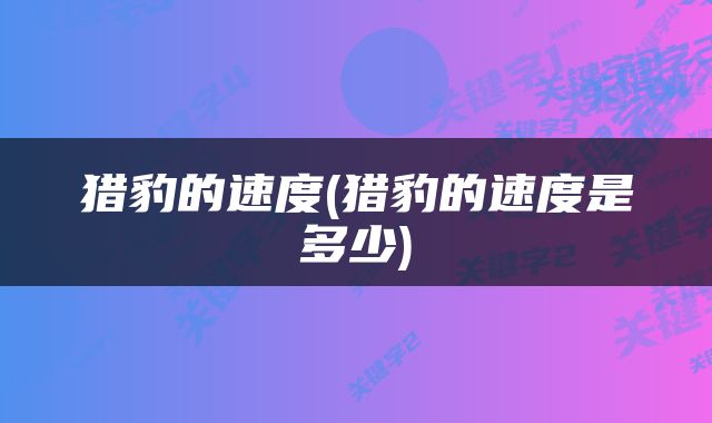 猎豹的速度(猎豹的速度是多少)