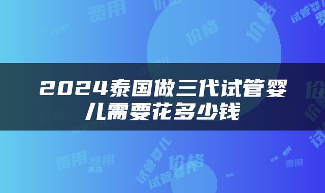 2024泰国做三代试管婴儿需要花多少钱