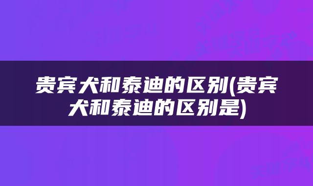 贵宾犬和泰迪的区别(贵宾犬和泰迪的区别是)