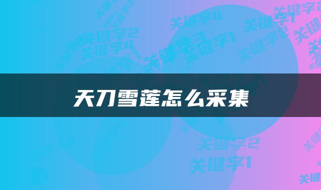 天刀雪莲怎么采集