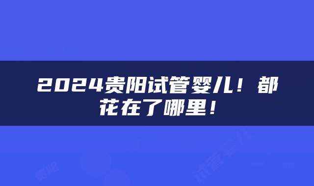 2024贵阳试管婴儿！都花在了哪里！