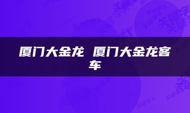 厦门大金龙 厦门大金龙客车