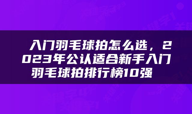  入门羽毛球拍怎么选，2023年公认适合新手入门羽毛球拍排行榜10强 