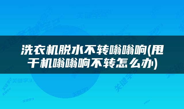 洗衣机脱水不转嗡嗡响(甩干机嗡嗡响不转怎么办)