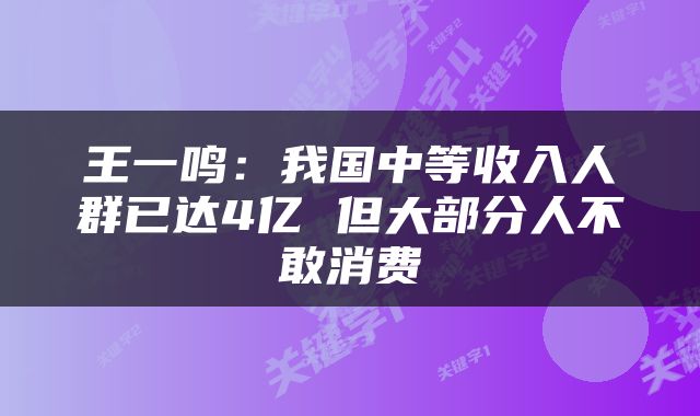 王一鸣：我国中等收入人群已达4亿 但大部分人不敢消费
