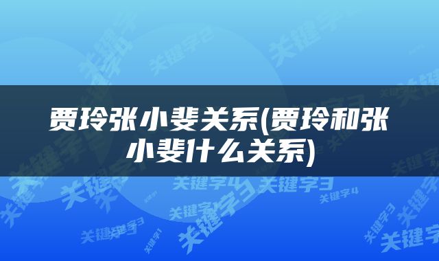 贾玲张小斐关系(贾玲和张小斐什么关系)