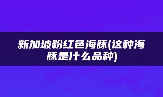 新加坡粉红色海豚(这种海豚是什么品种)