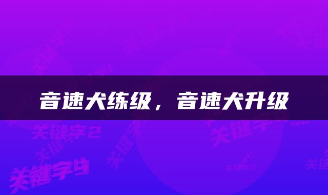 音速犬练级，音速犬升级