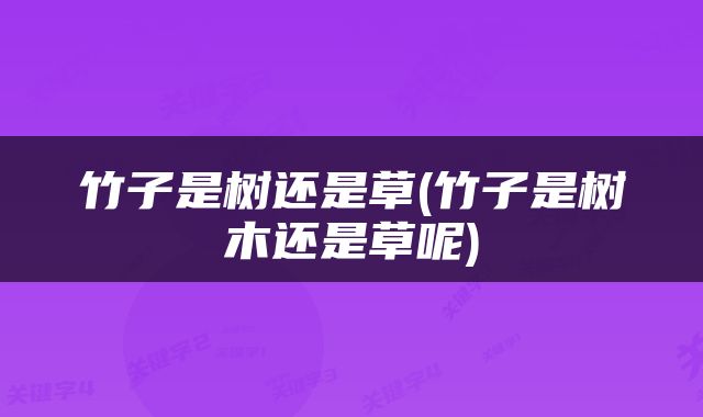 竹子是树还是草(竹子是树木还是草呢)