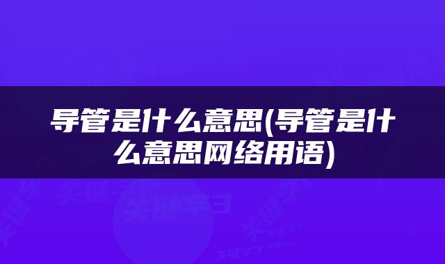 导管是什么意思(导管是什么意思网络用语)