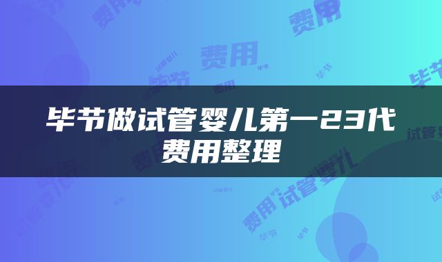 毕节做试管婴儿第一23代费用整理