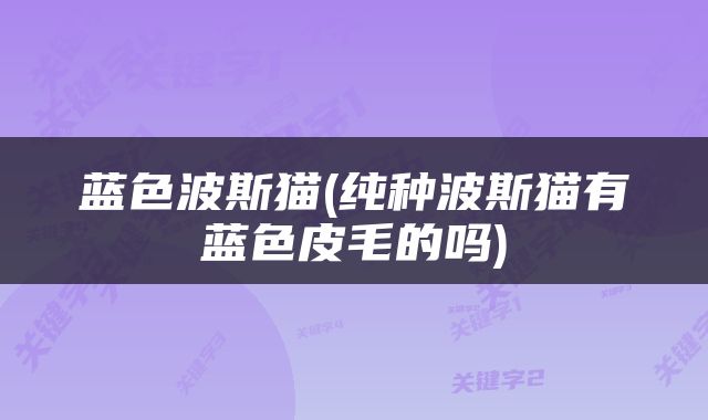 蓝色波斯猫(纯种波斯猫有蓝色皮毛的吗)