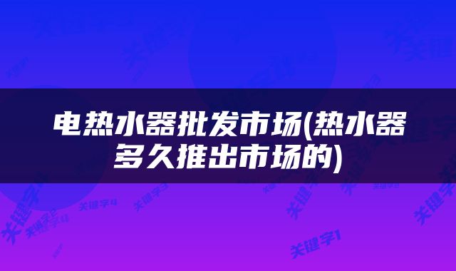 电热水器批发市场(热水器多久推出市场的)